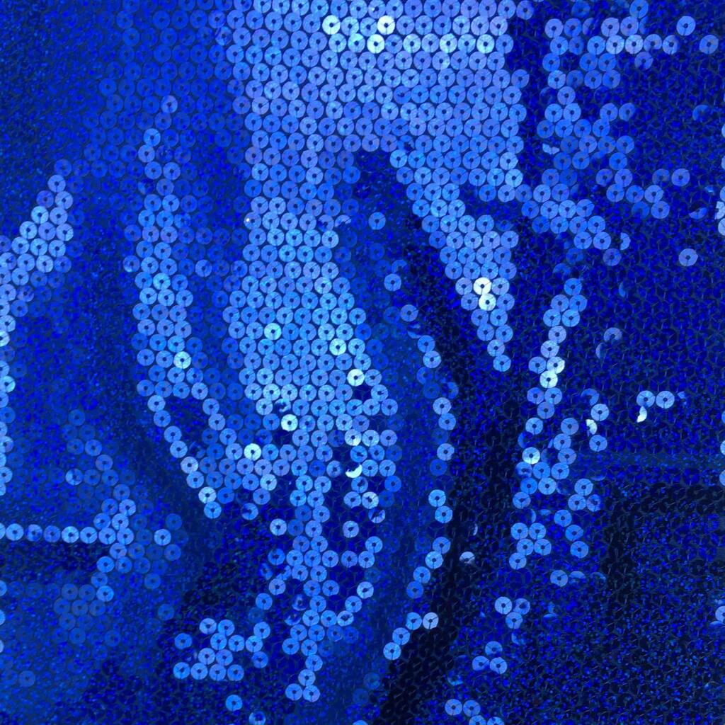 Holographic Sequin Knit Fabric