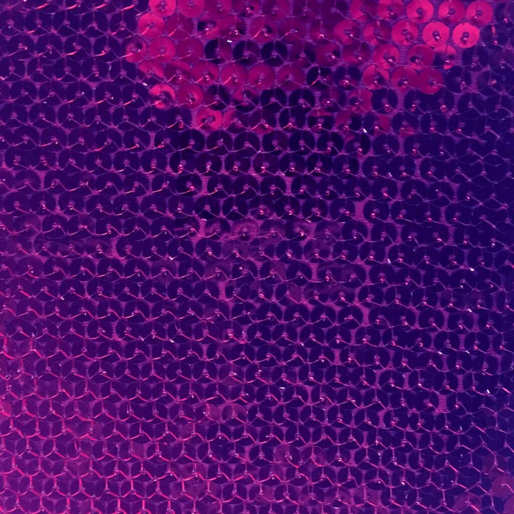Embroidered Sequin Knit