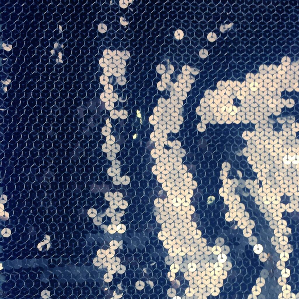 Embroidered Sequin Knit