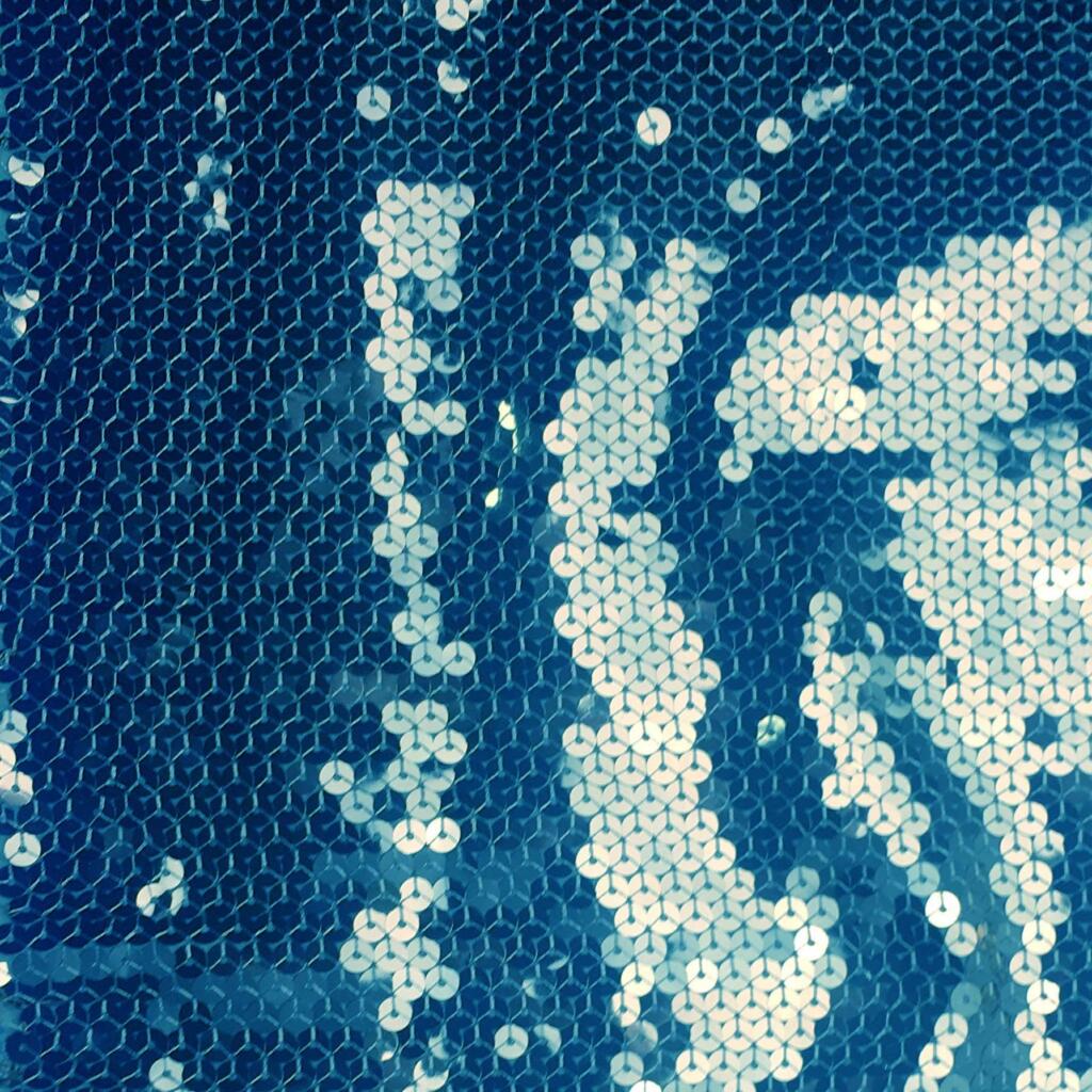 Embroidered Sequin Knit