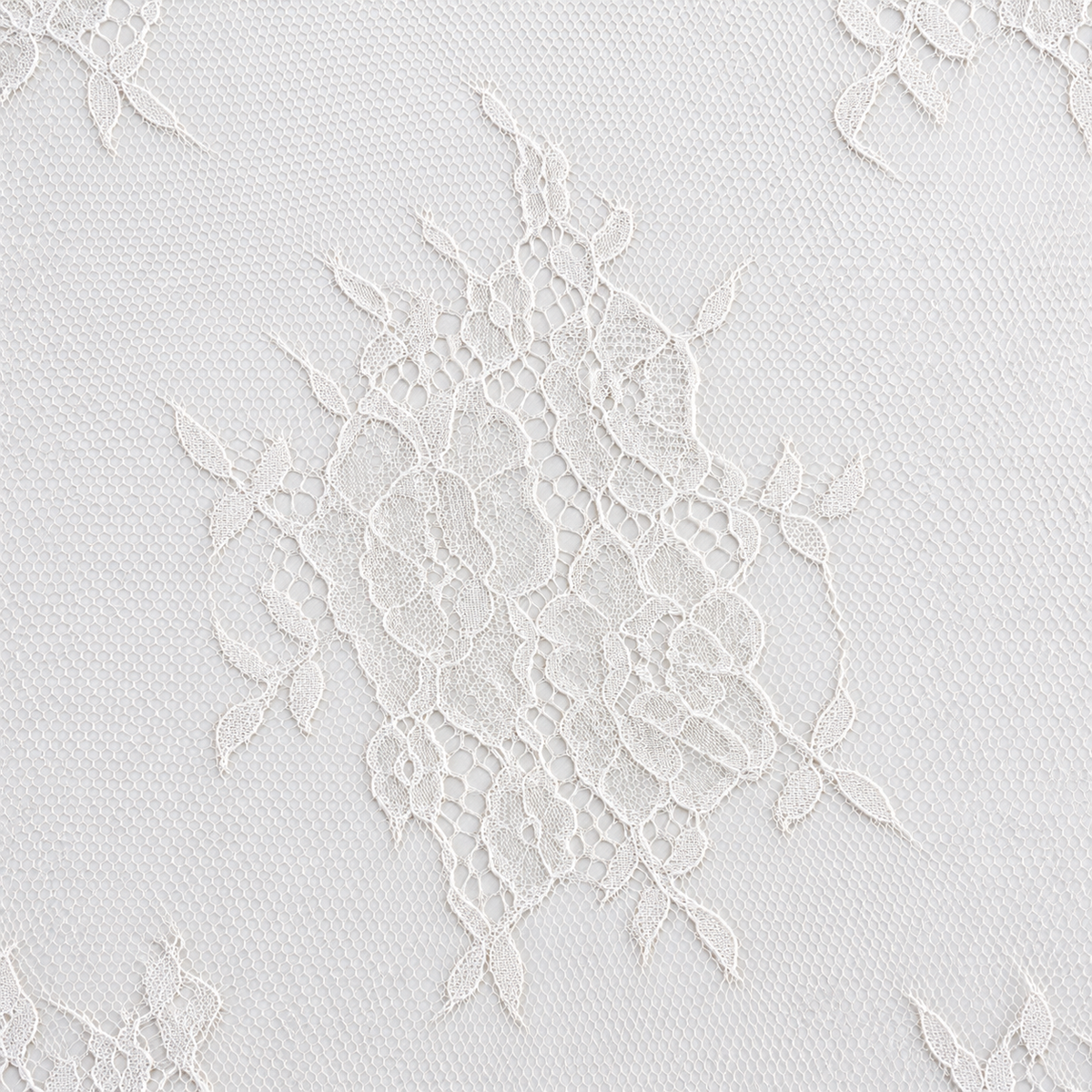 White Floral Chantilly Lace with Scalloped Border 01