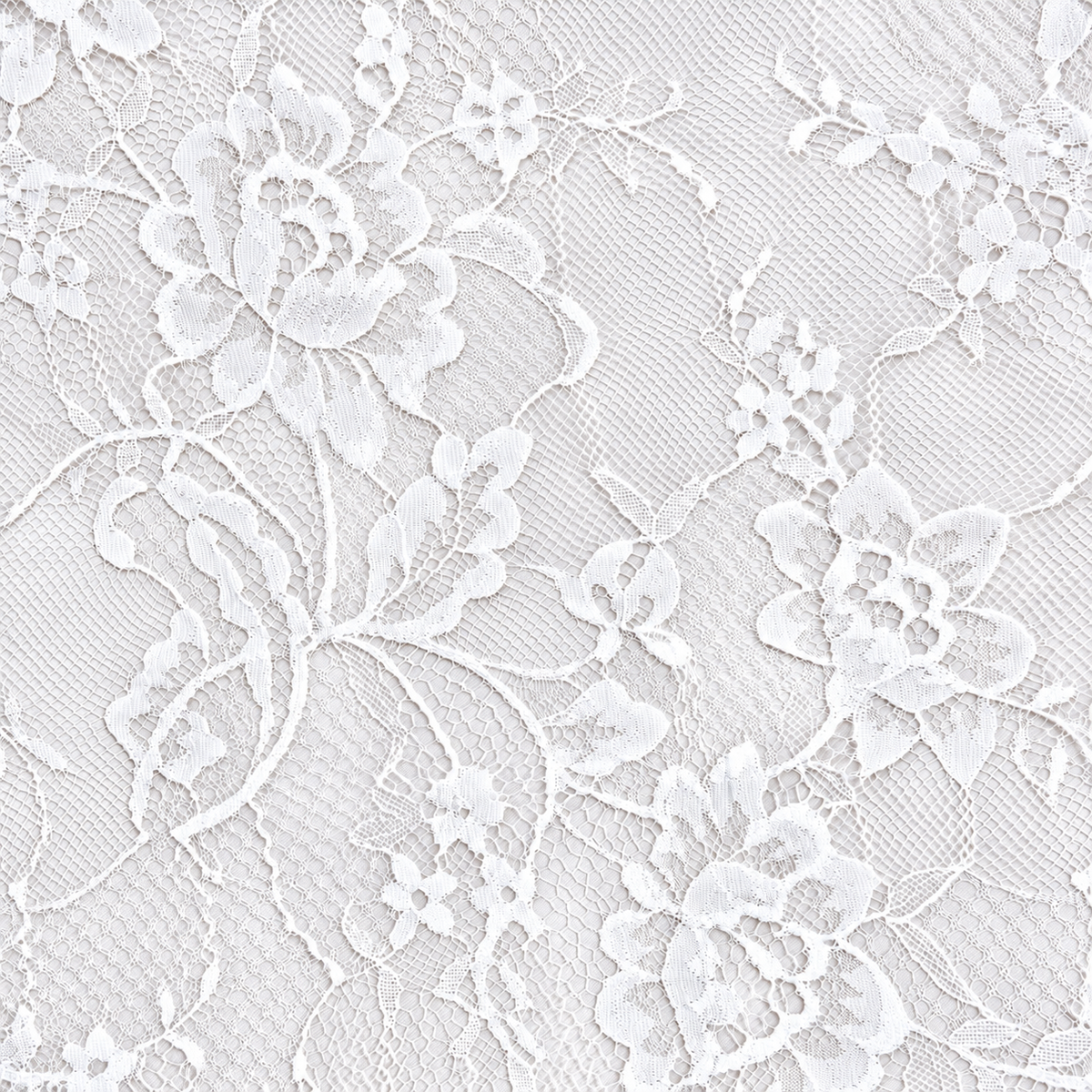 White Floral Chantilly Lace with Scalloped Edge 04