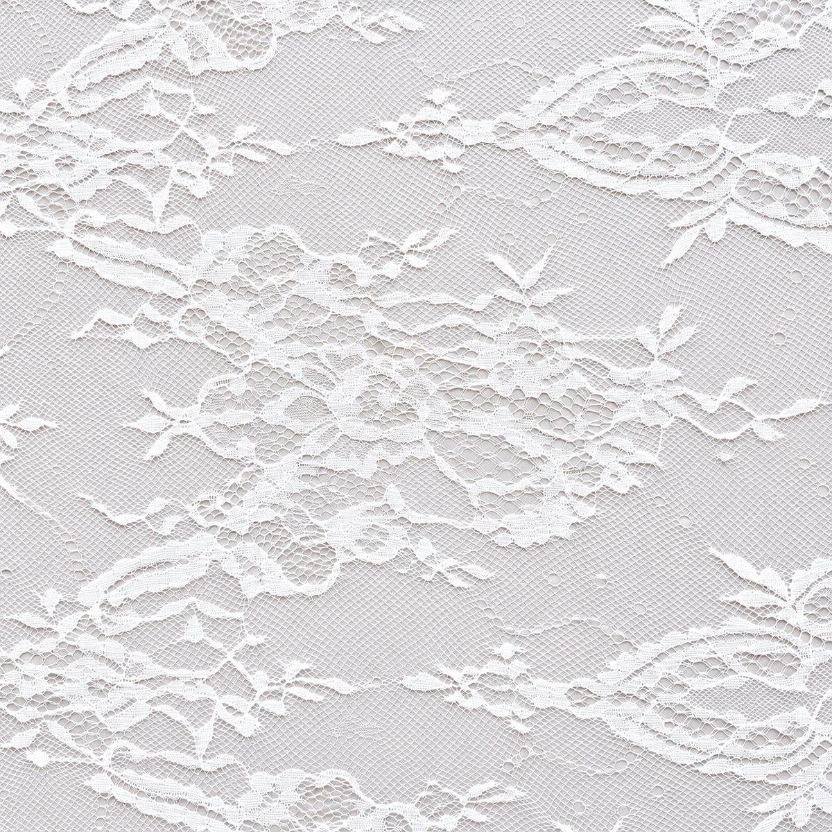 Ornate Scroll Chantilly Lace with Scalloped Edge