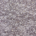 Pearl & Sequin Embellished Lace Fabric